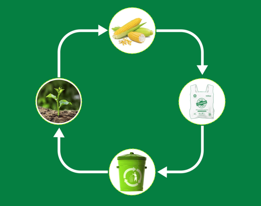 screenshot 2025 10 01 125243